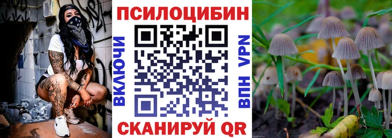 Галлюциногенные грибы прущие грибы  Купить где  Миньяр 